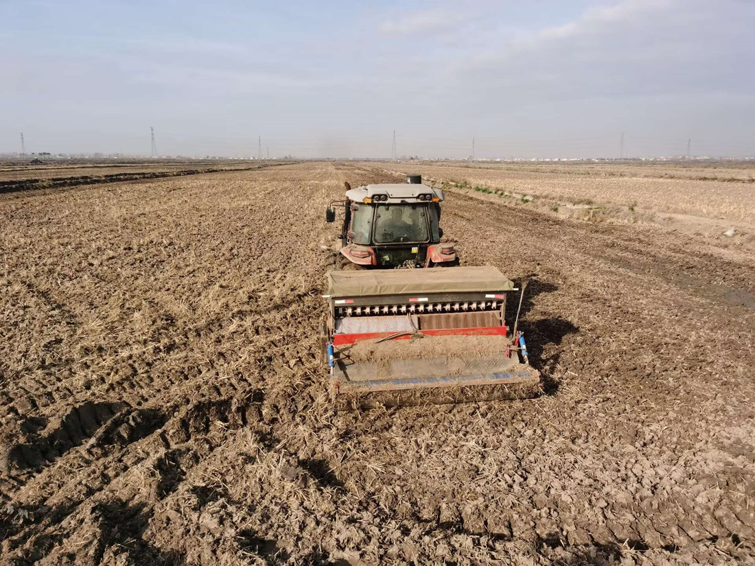 QQ圖片20241127094726